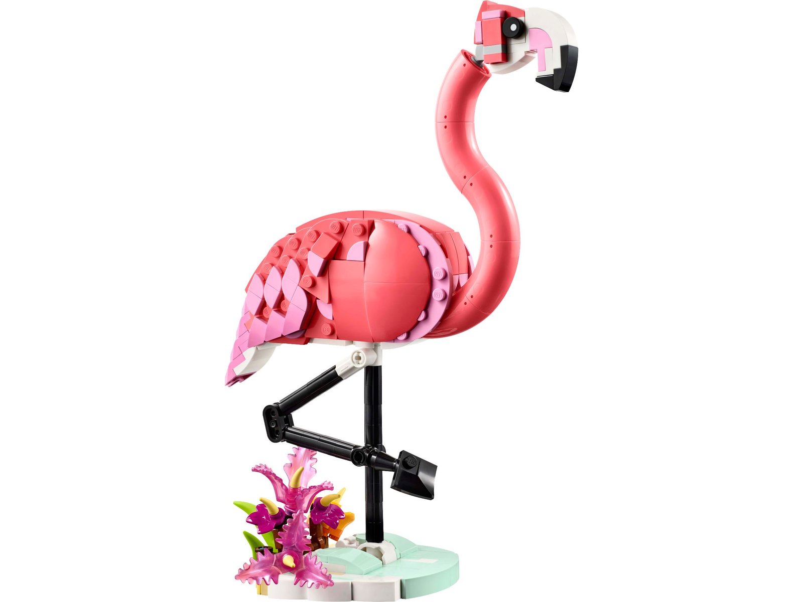 Villieläimet: vaaleanpunainen flamingo