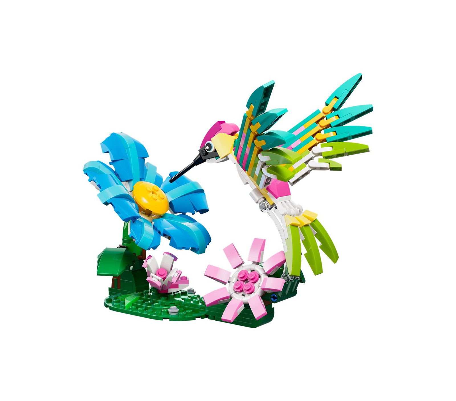 Villieläimet: Värikäs kolibri