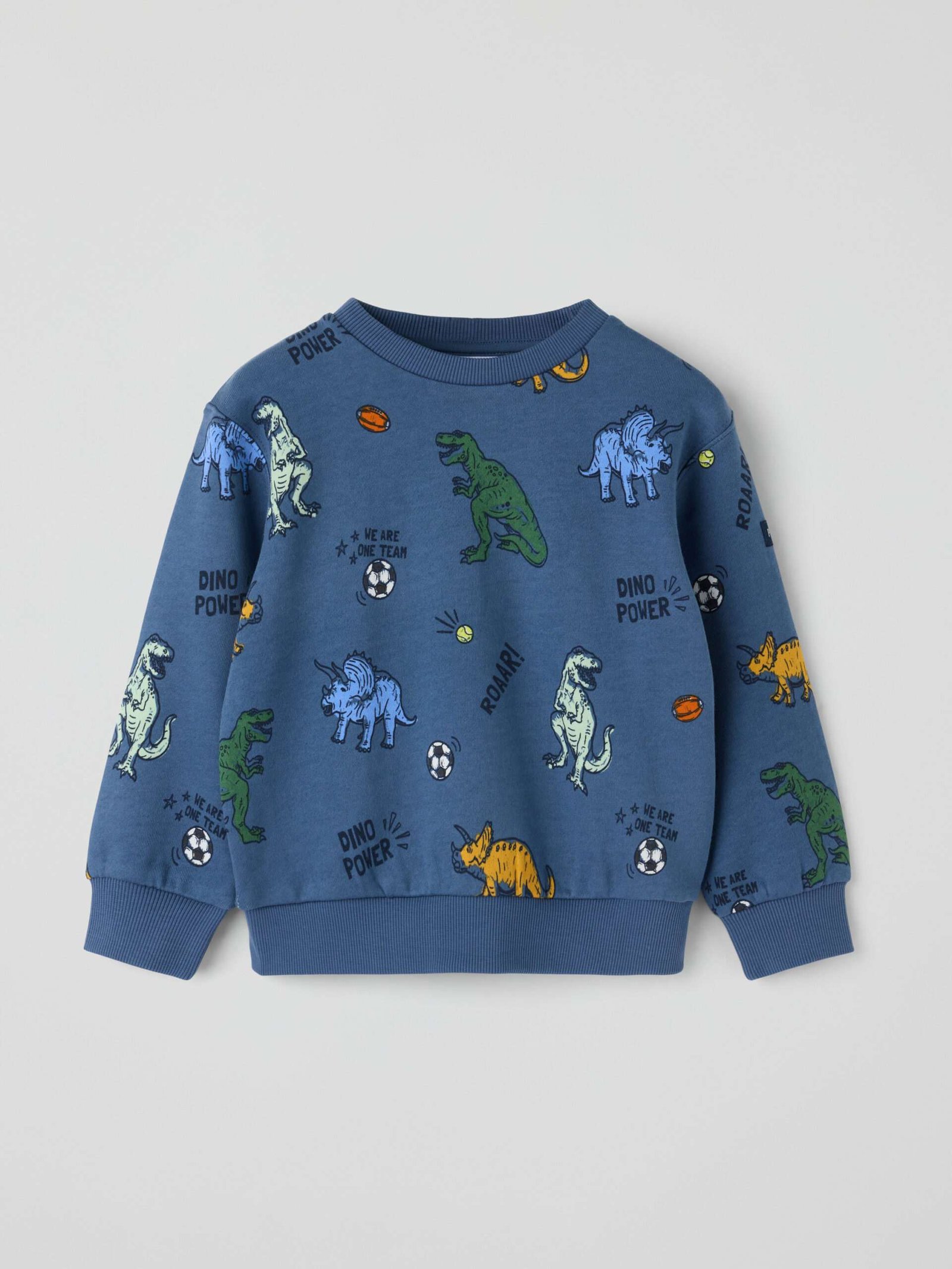 Collegepaita dinosaurukset