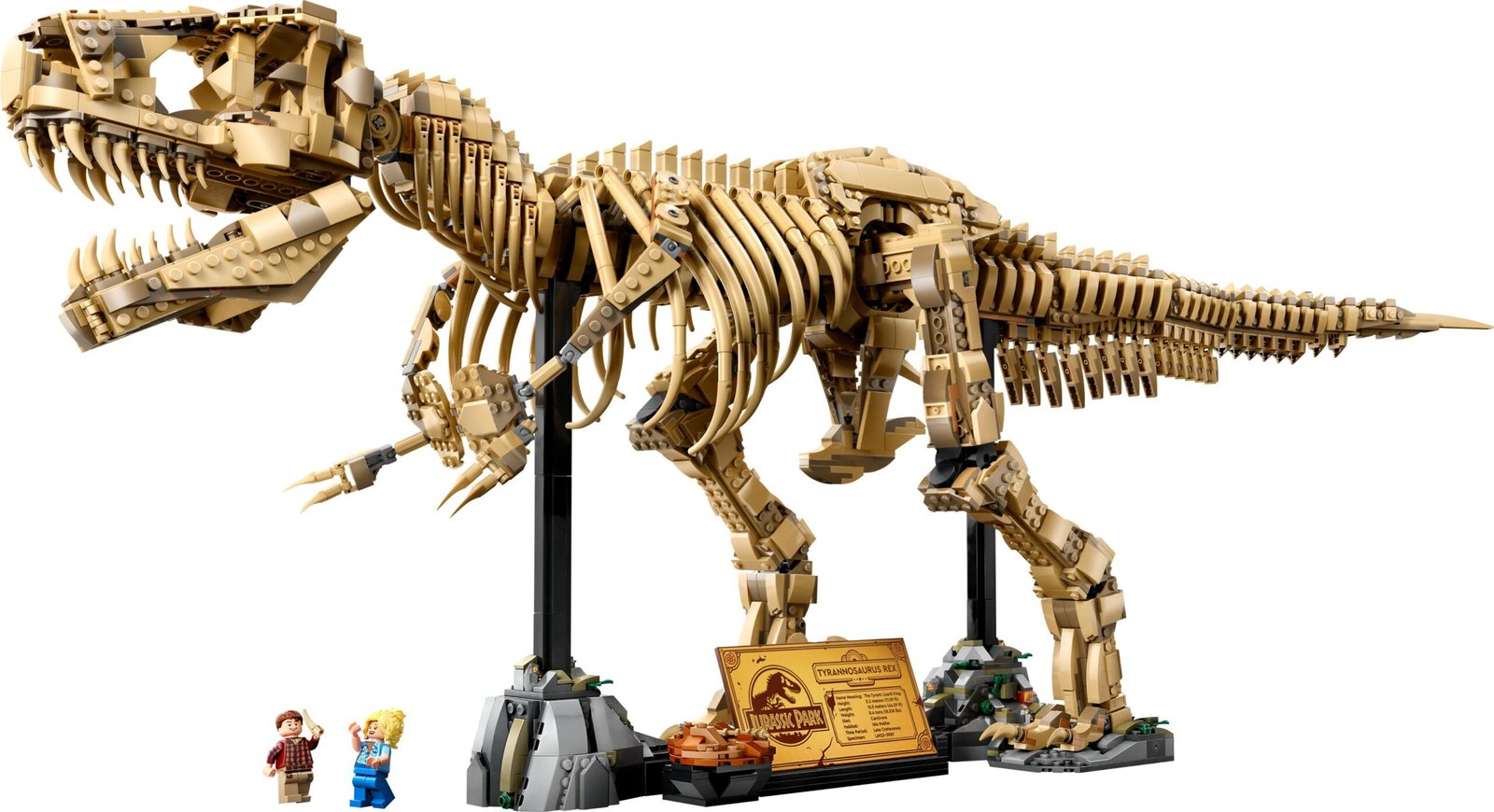 Dinosaurusfossiilit: Tyrannosaurus rex