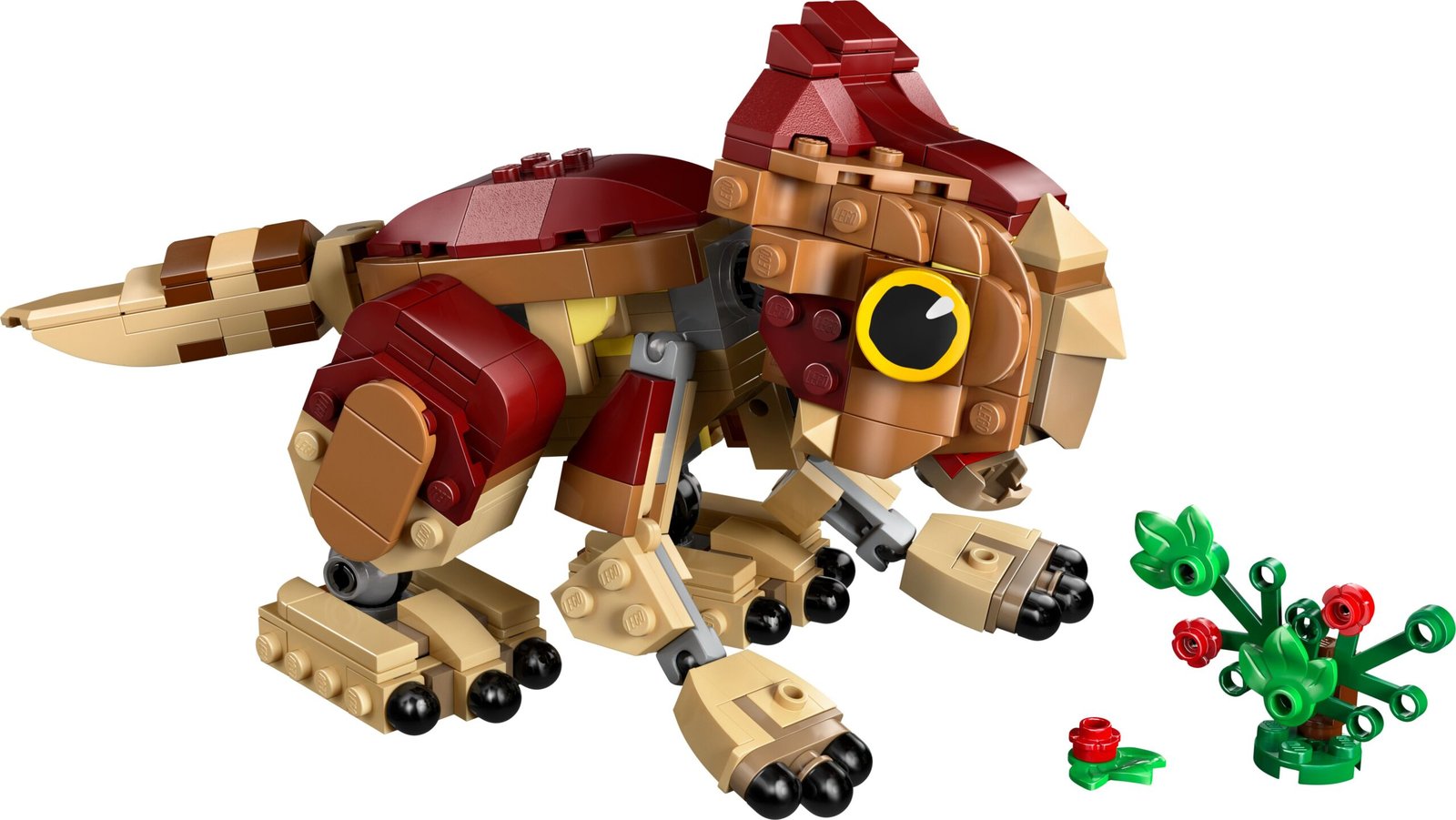 Dinovauva Dolores: Aquilops