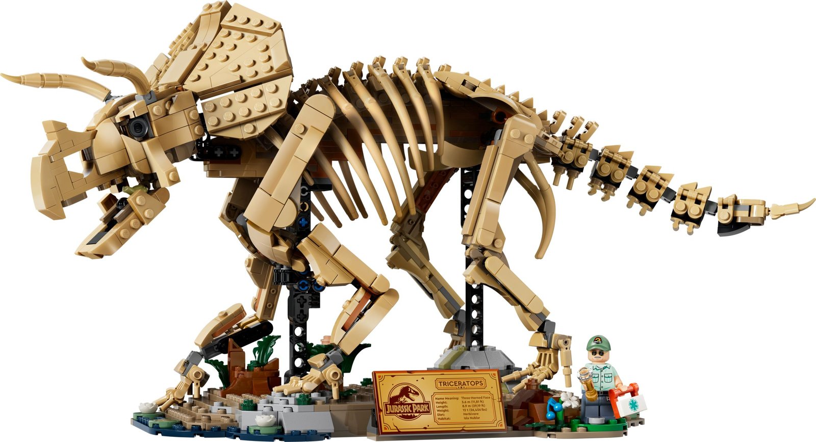 Dinosaurusfossiilit: Triceratops