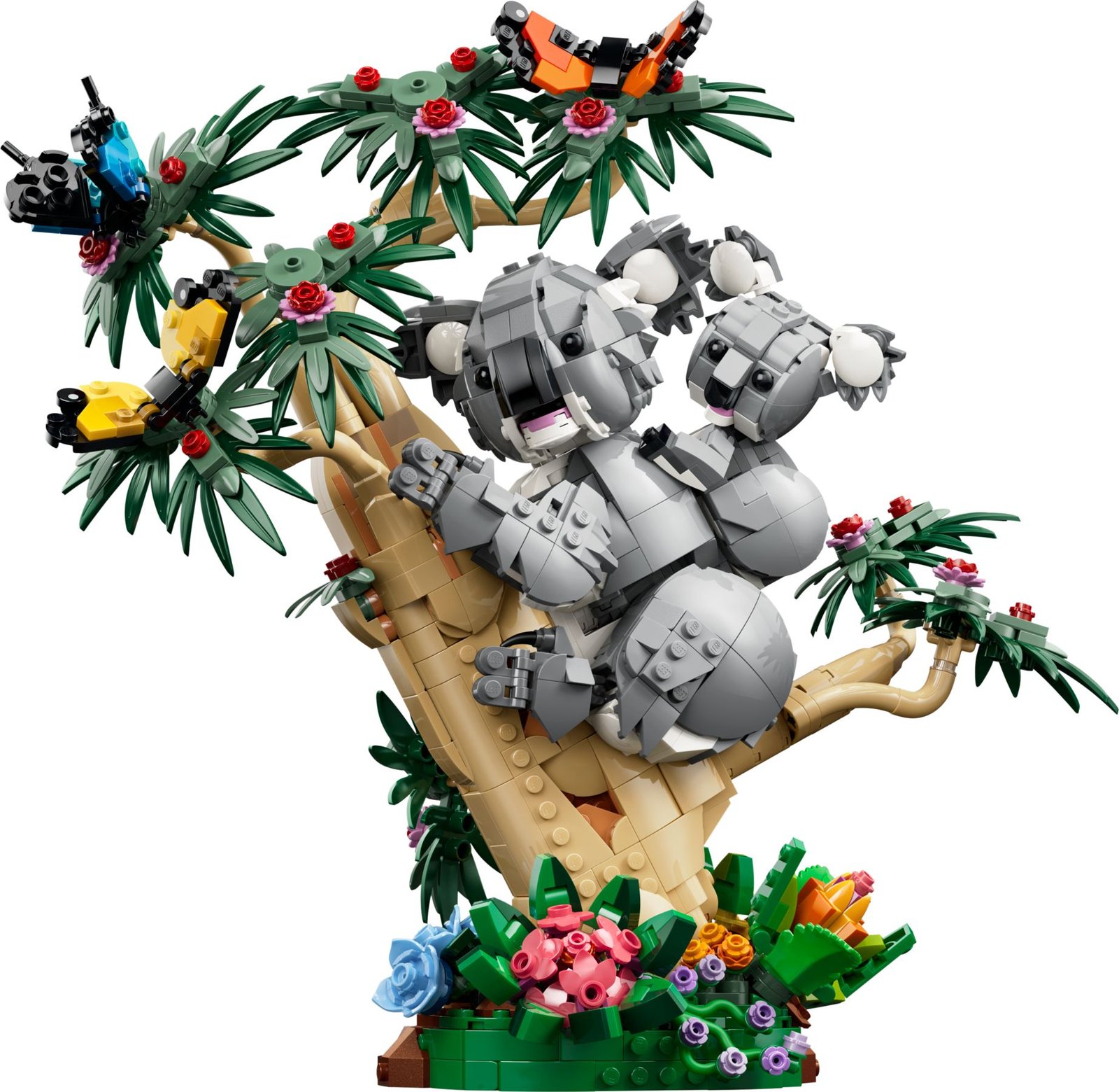Villieläimet: koalaperhe