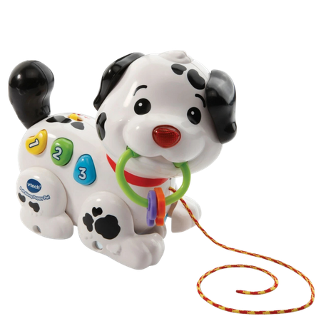 VTech Pull Along Puppy Pal Toy